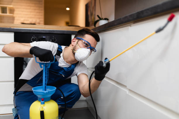 Best Pest Inspection Near Me  in Laurel Hollow, NY