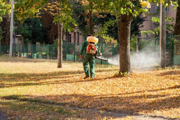 Best Wasp Removal Services  in Laurel Hollow, NY